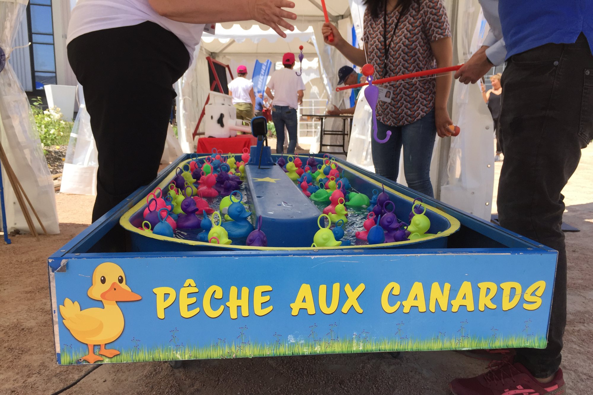 Jeu de pêche aux canards avec canards en plastique colorés